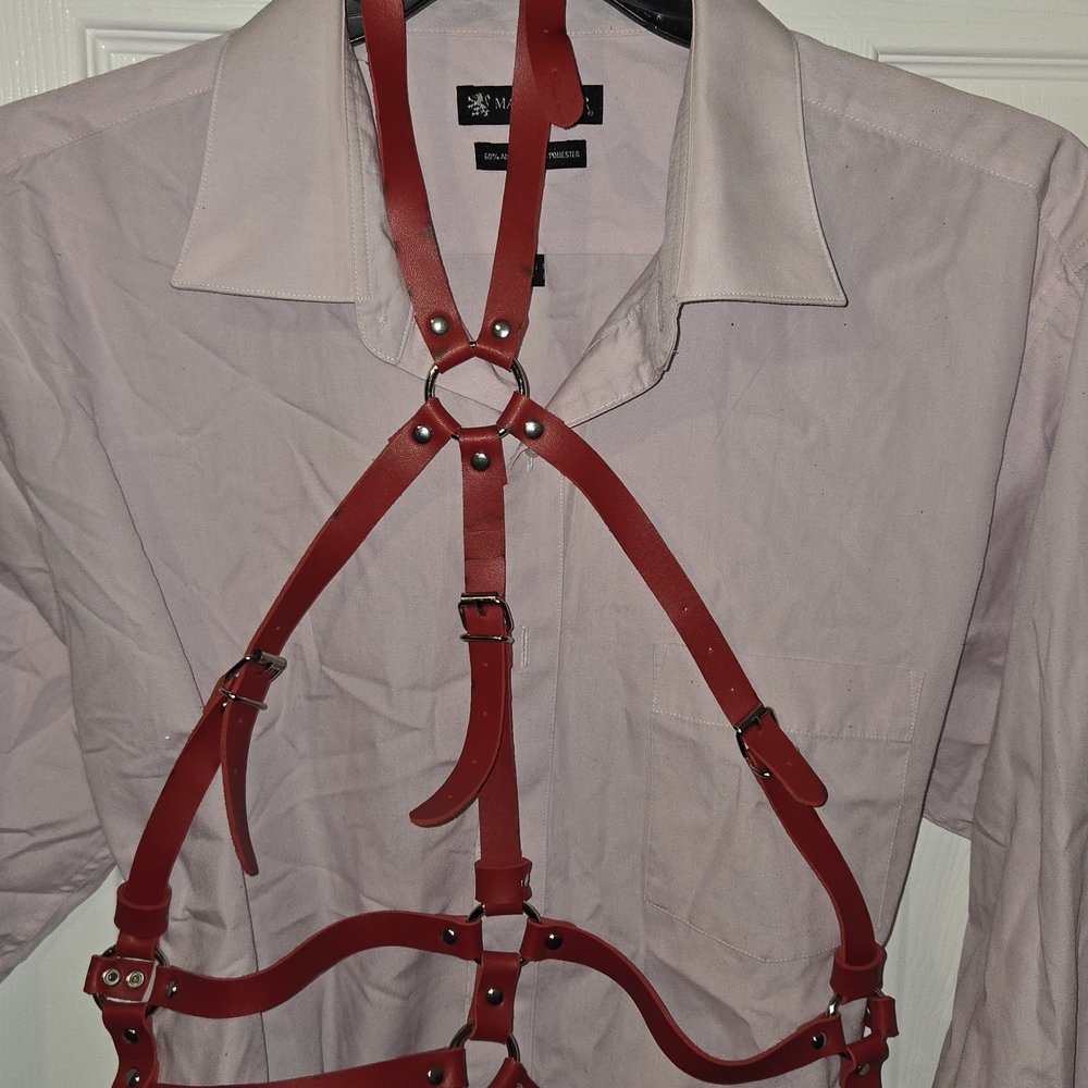 Red Leather Harness